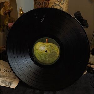 The Beatles Again Vinyl Record Loose LP Only Hey Jude Vintage